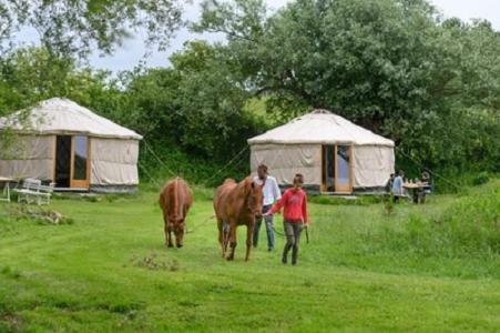 Double Room On Farm Beaugies-sous-Bois エクステリア 写真